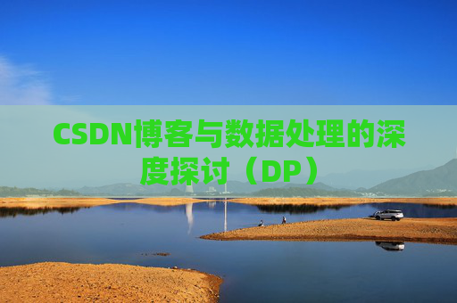 CSDN博客与数据处理的深度探讨（DP）